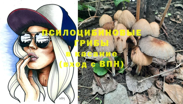 дживик Алексеевка