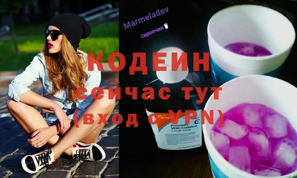 дурь Алексин