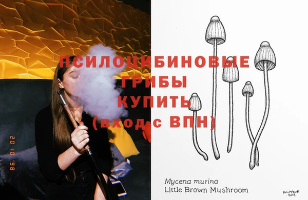 дживик Алексеевка