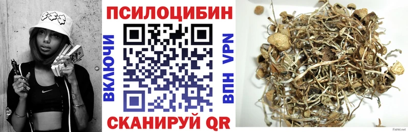 маркетплейс формула Суровикино Псилоцибиновые грибы Psilocybine cubensis hydra как зайти