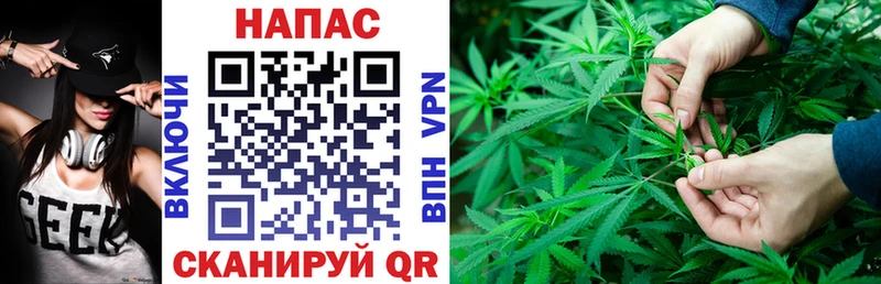 Каннабис SATIVA & INDICA  Суровикино 